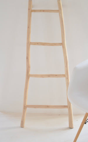Moroccan Lemon Tree Wood Ladder